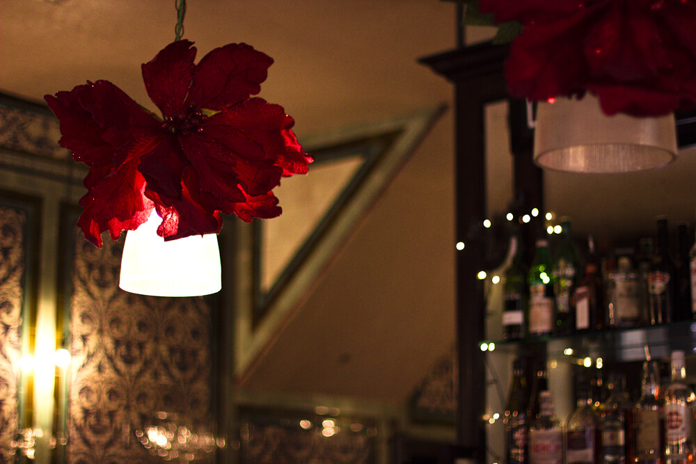 drinking, christmas, this christmas, pubs, alcohol, boozer… Flickr