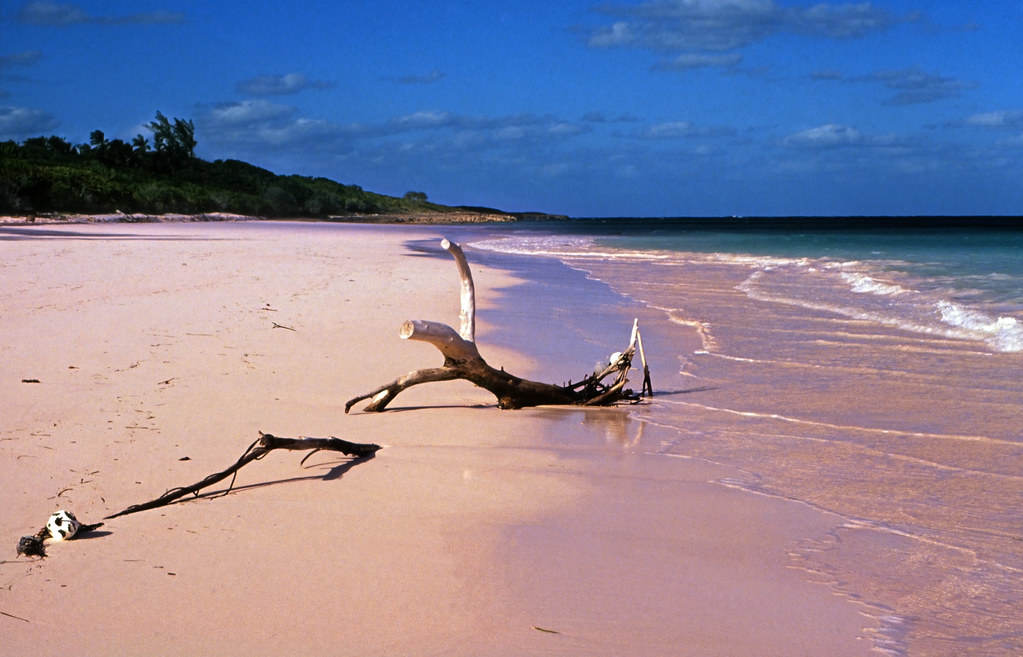Bahamas 1989 (347) Eleuthera Pink Sand, Harbour Island Flickr