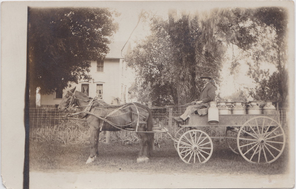 CEN Sunfield MI RPPC c.1908 WAGON LOAD OF DAIRY on its way… Flickr