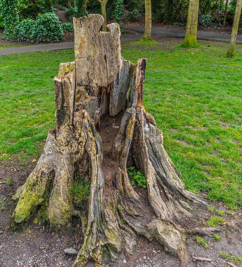 I ENJOYED MY VISIT TO ST. ANNE’S PARK [APRIL 2016]115098 Flickr