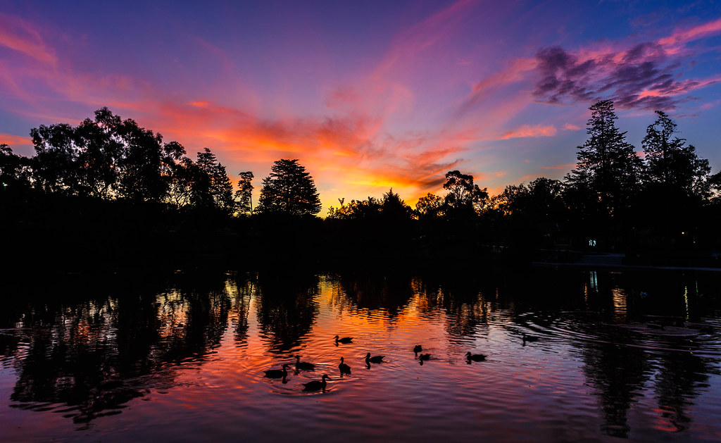 Surrey Park Lake Sunset 6 Another interesting sunset fro… Flickr