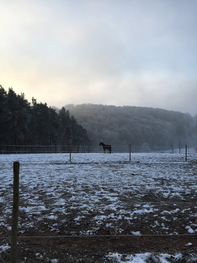Elevation of Kusel, Germany Topographic Map Altitude Map