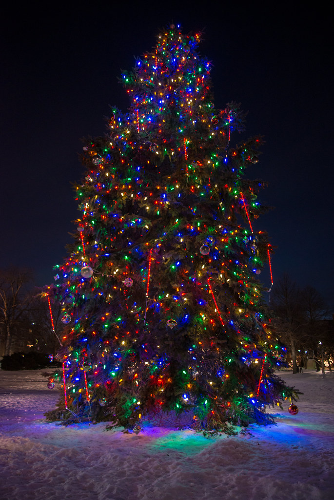 Project 365 Palatine 5 Holiday Tree at The Palatine Towne … Flickr