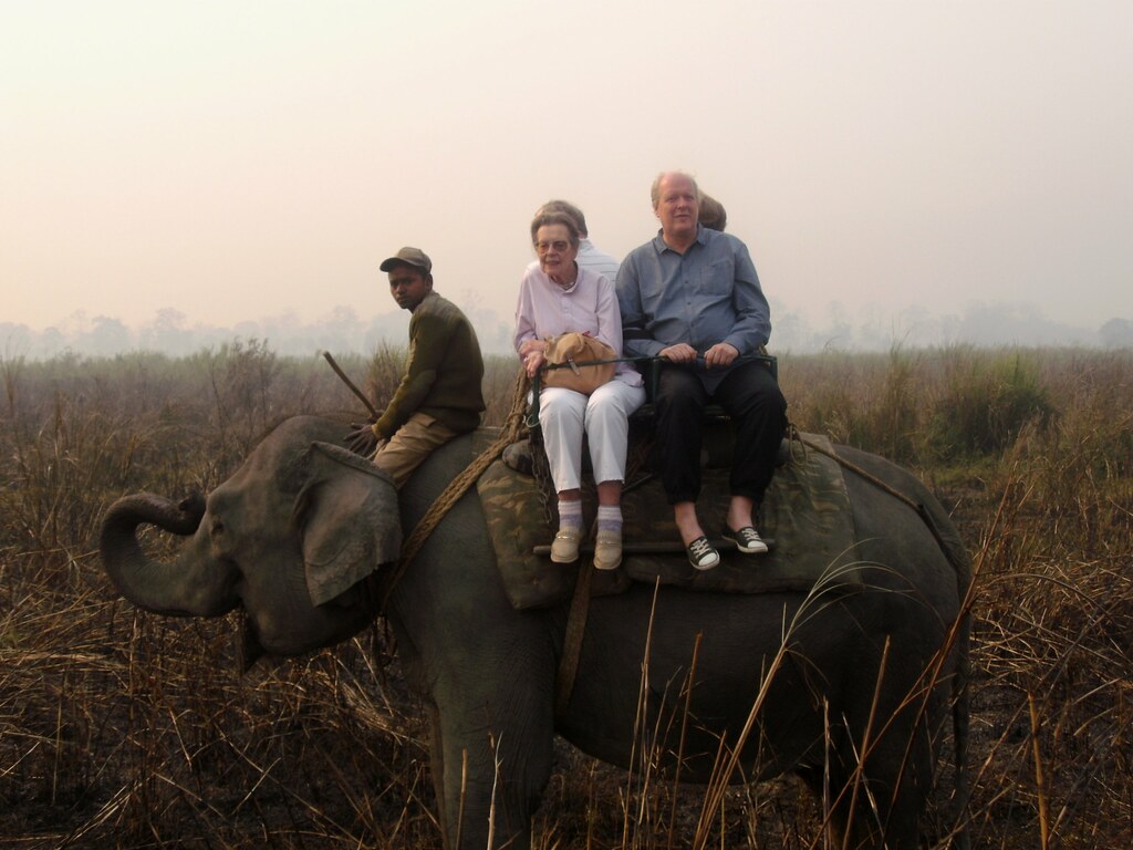 Kaziranga National Parc Elephant ride Stoffturnschuh Flickr