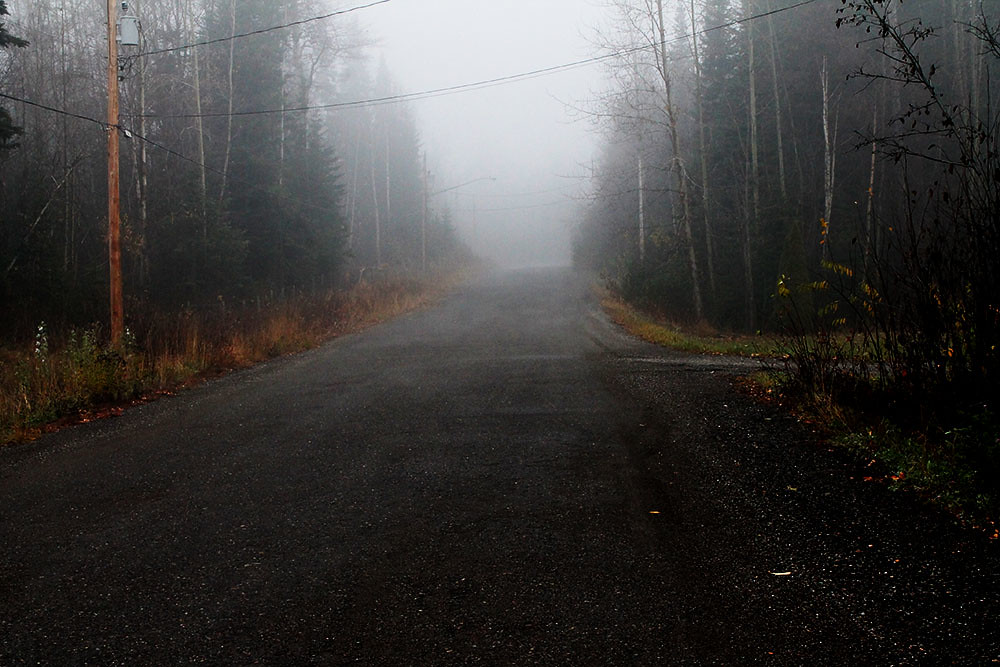 IMG_8628edit linda.sully Flickr