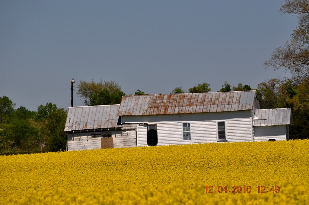Elevation of Rocky Hollow Way, Elkmont, AL, USA Topographic Map