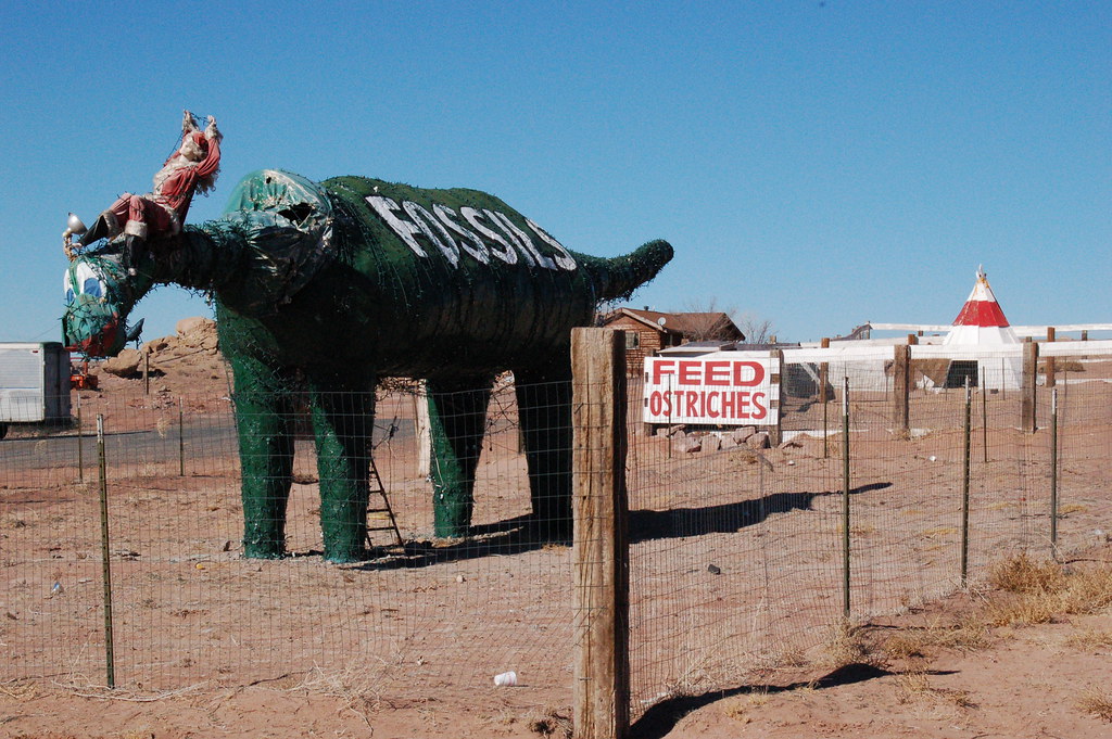 DSC_0280.JPG A crazy store on Navajo Nation land just west… Flickr
