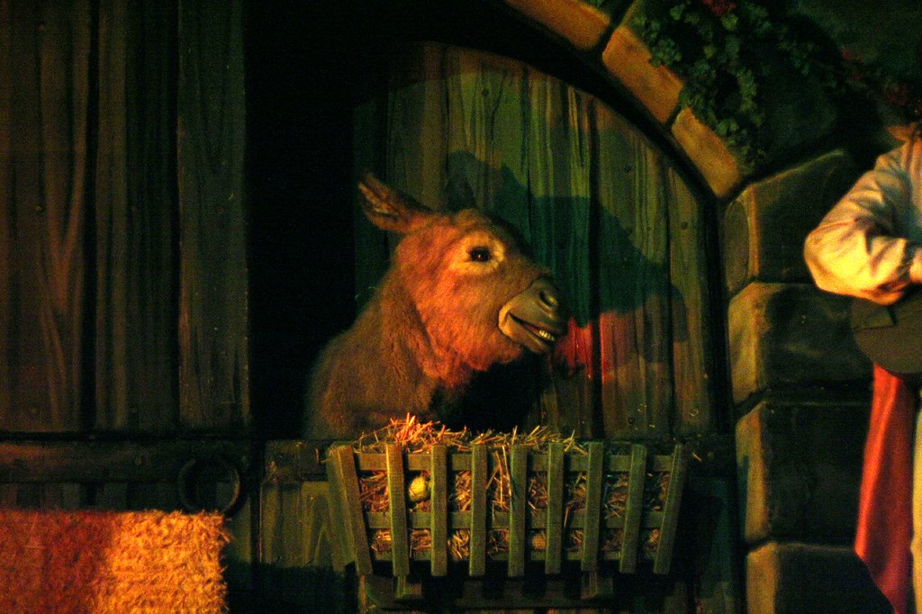 Singing donkey Or burro, if you prefer. Taken on the ride … Flickr