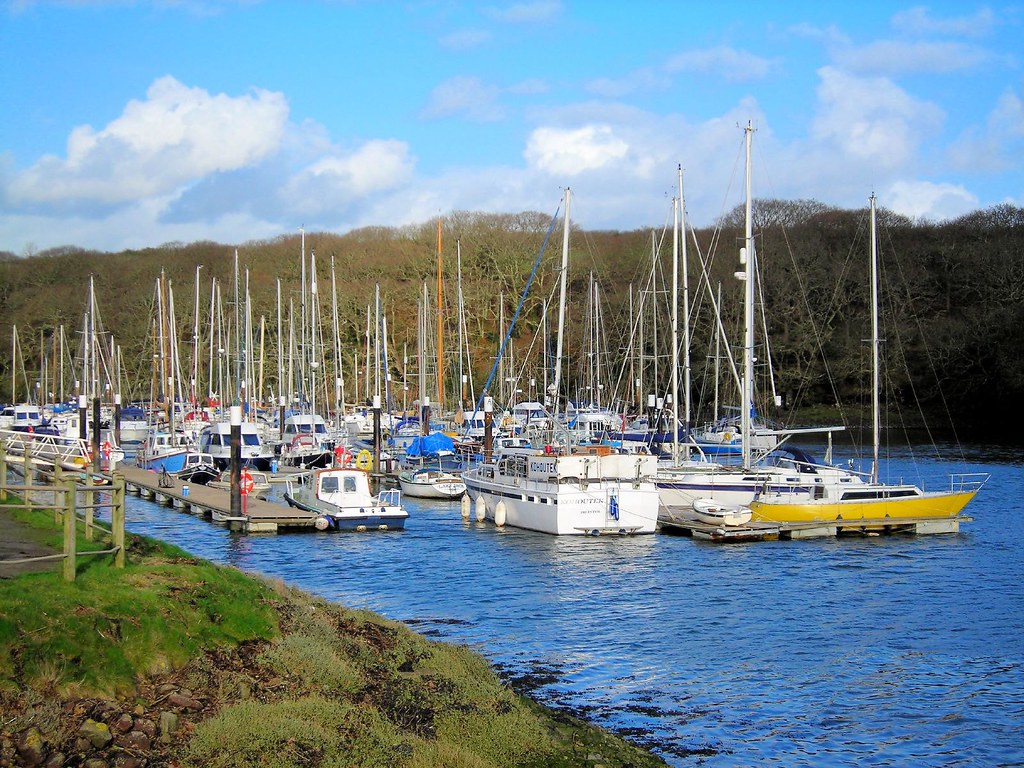 Neyland Marina West Wales Trying out the Nikon L3 I took… Flickr