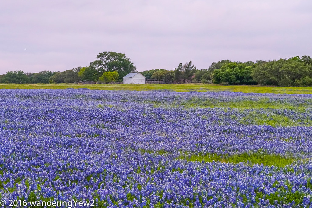 Elevation of Ranch, N, US HWY, Lampasas, TX, USA Topographic Map