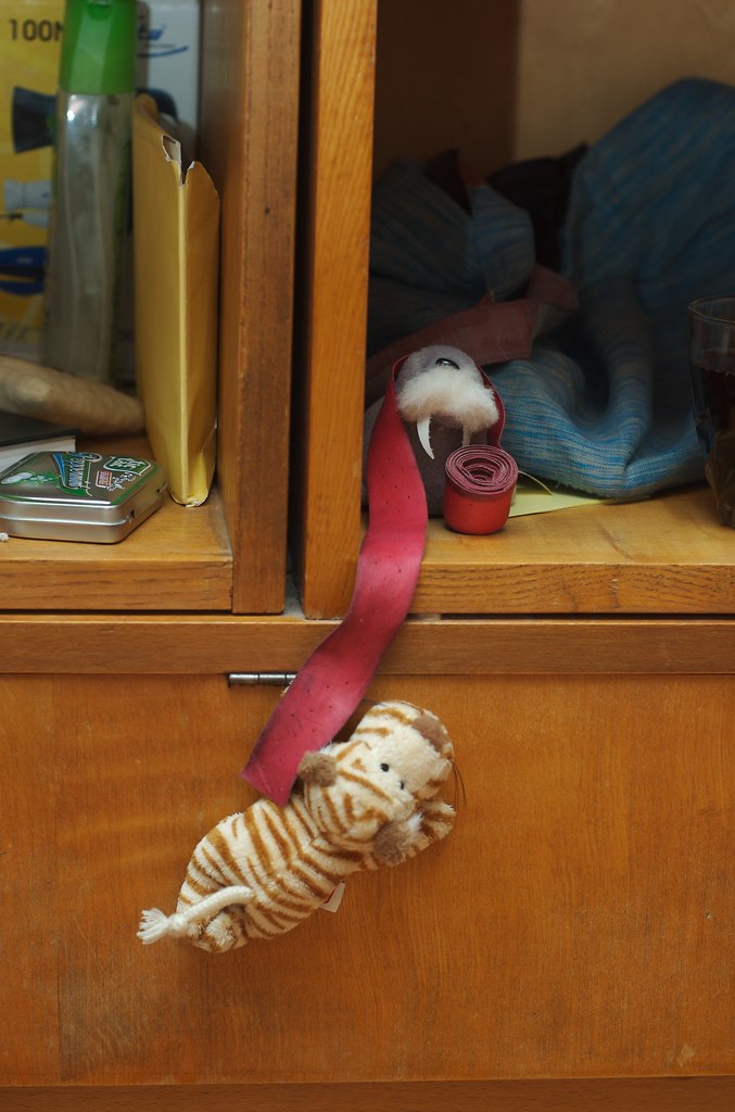 Hold on! Grab onto this rope! Zsolt Vajda Flickr