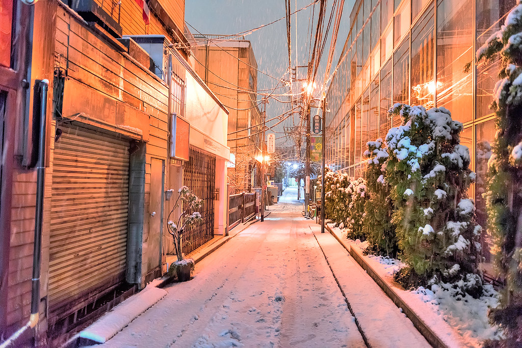 Tokyo Snow 2016 a photo on Flickriver