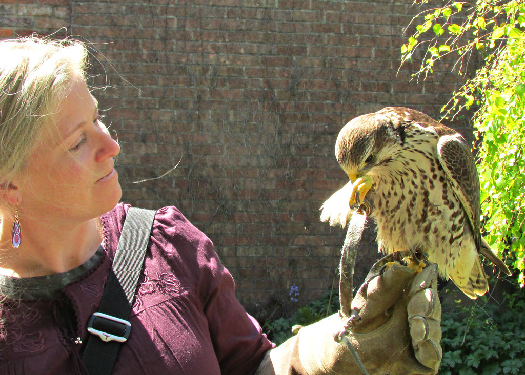 Amy & the Peregrine Falcon, York, North Yorkshire, England… Flickr