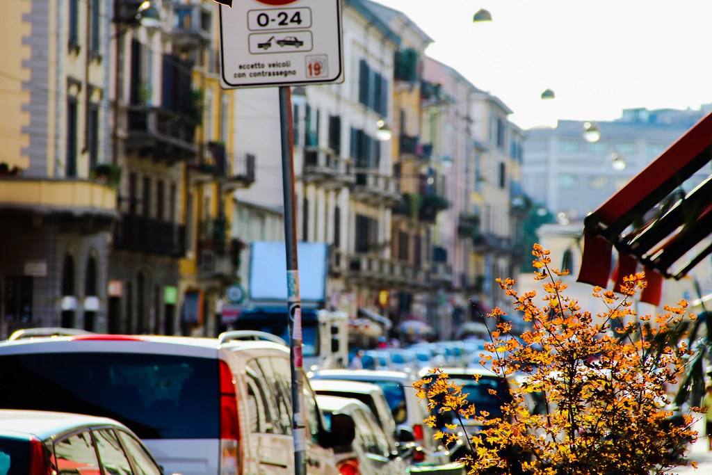 Random shots Roxana Valle Flickr