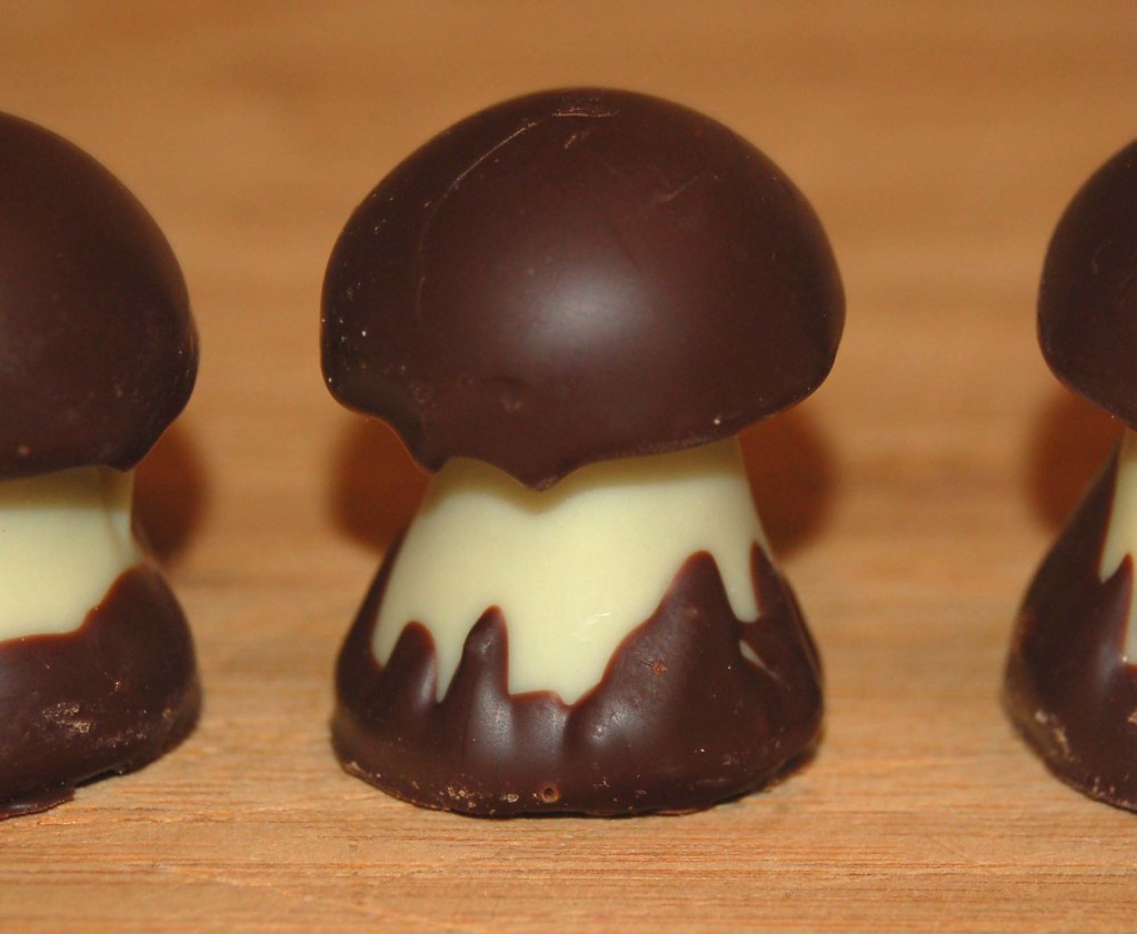 Chocolate Mushrooms Yummy! Sheri Flickr
