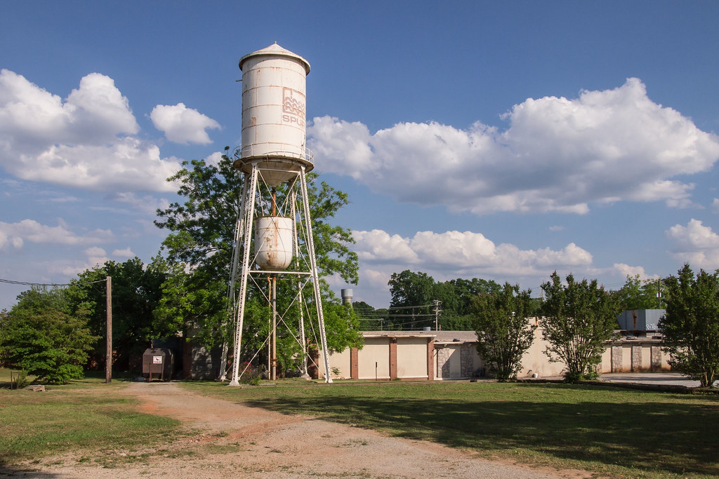 Palmetto, jwcjr Flickr