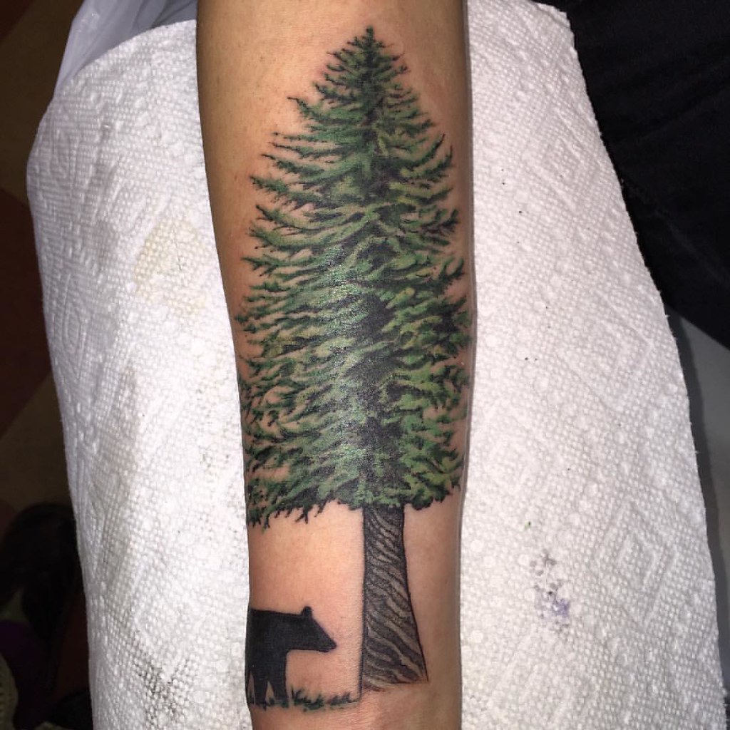 Grounding Pine Tree #Tattoo #Tattoos #Treetattoo #Tattoome… | Flickr 1024_x_1024_jpg