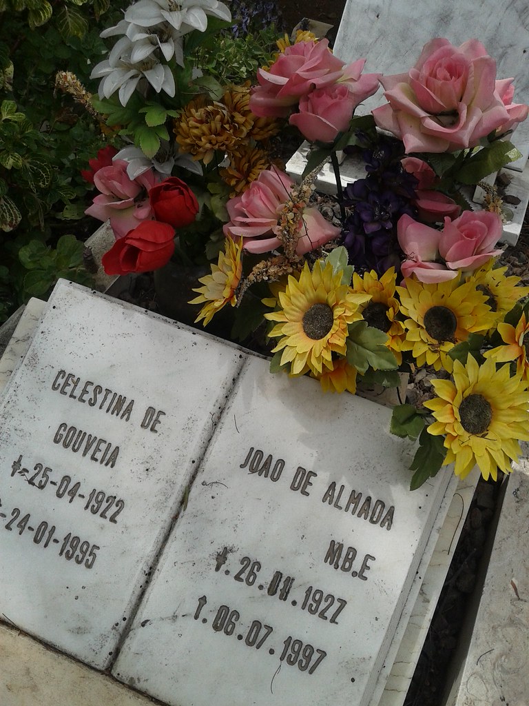 The British Cemetery 52 Cementerio Britanico de Funchal De… Flickr