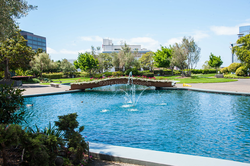 untitled1577 Kaiser Rooftop Garden Series Oakland CA Insp… Flickr