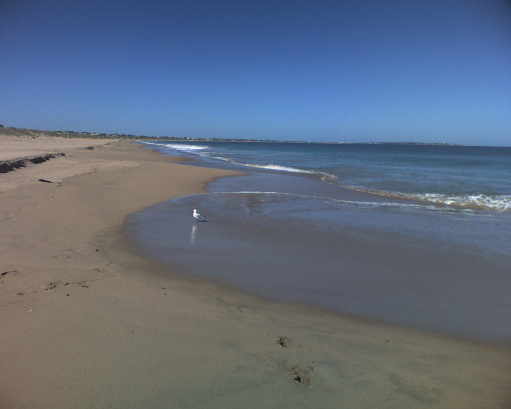 Photo0271 Damian Schofield Flickr