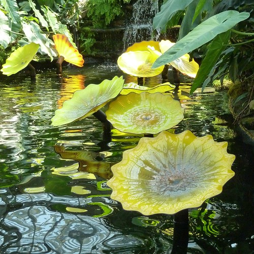 Chicago, Garfield Park Conservatory, Yellow Glass Sculptur… Flickr