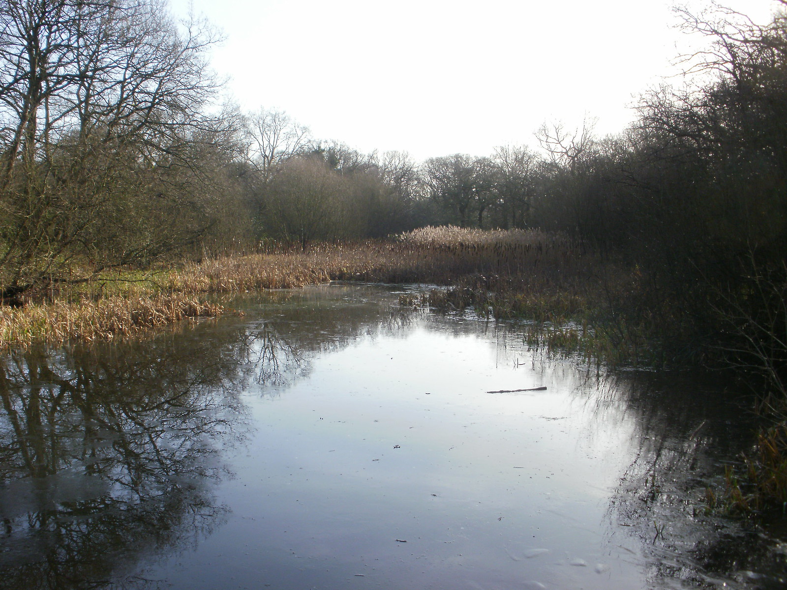 Leytonstone to Loughton walk