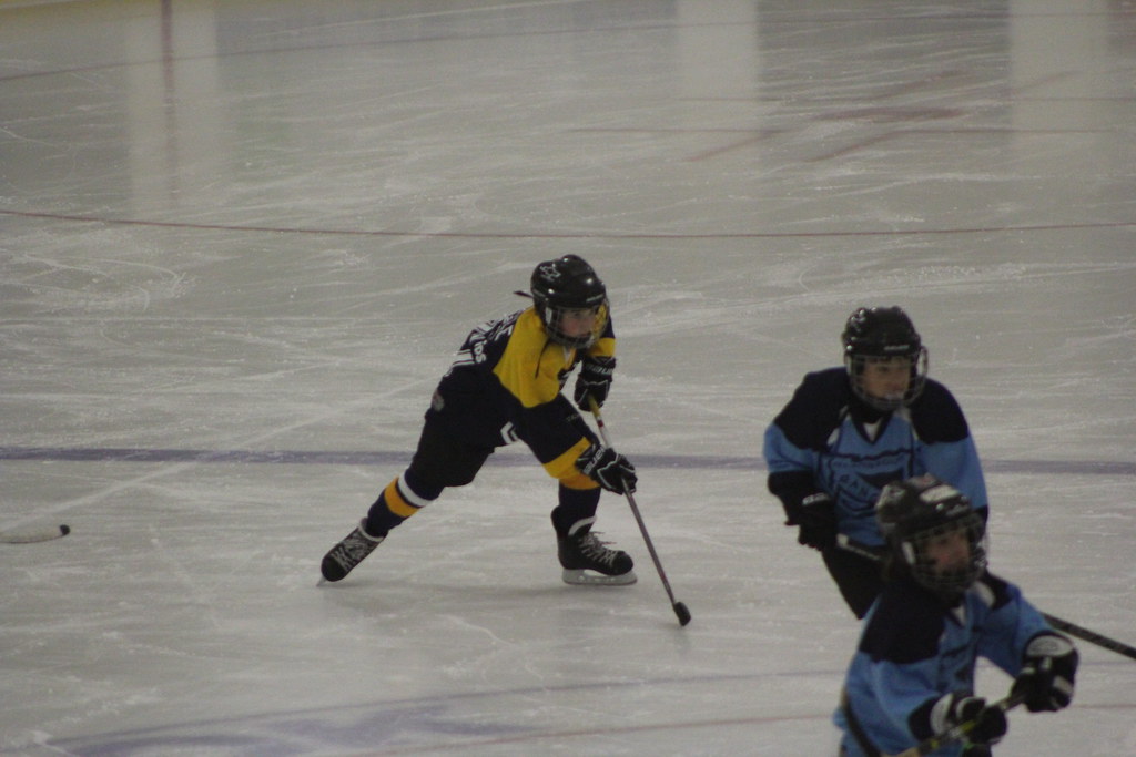 Preds Game 2 and 3 Flickr