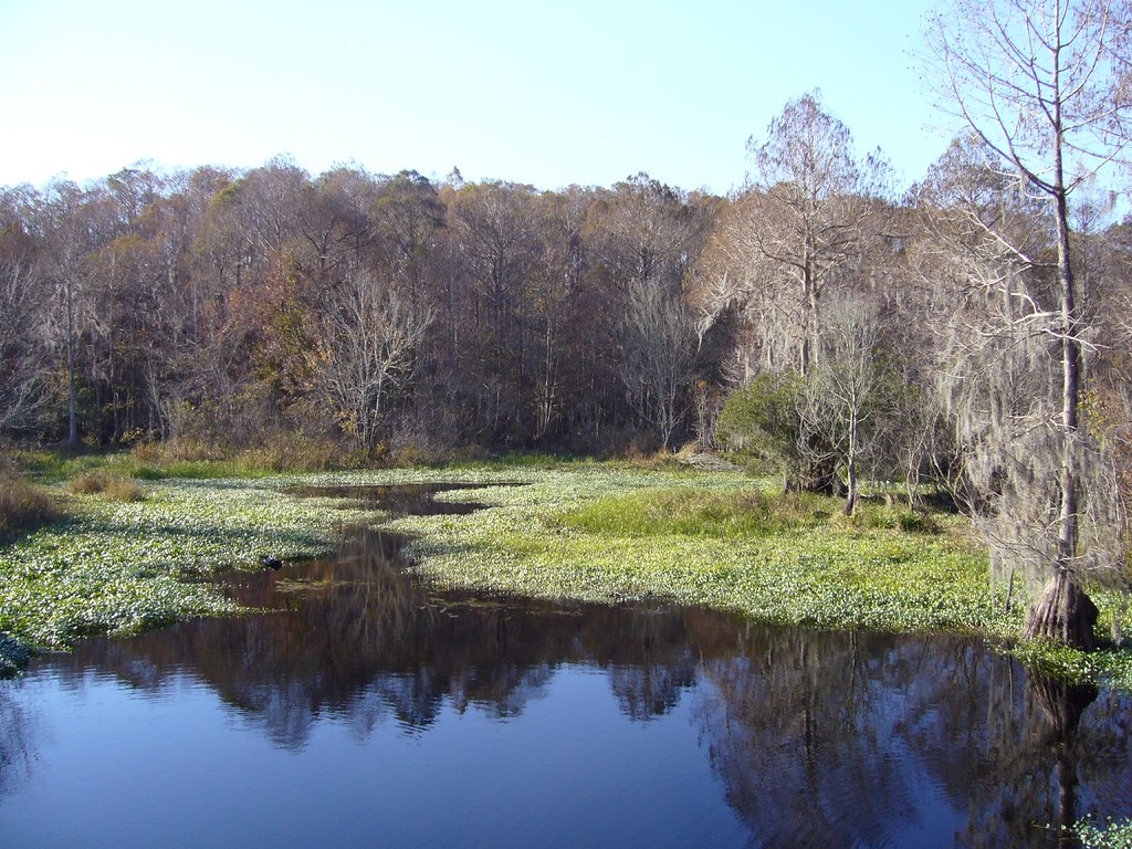 Florida Wetlands 1 Wetlands near Cross Creek, FL jamieca Flickr