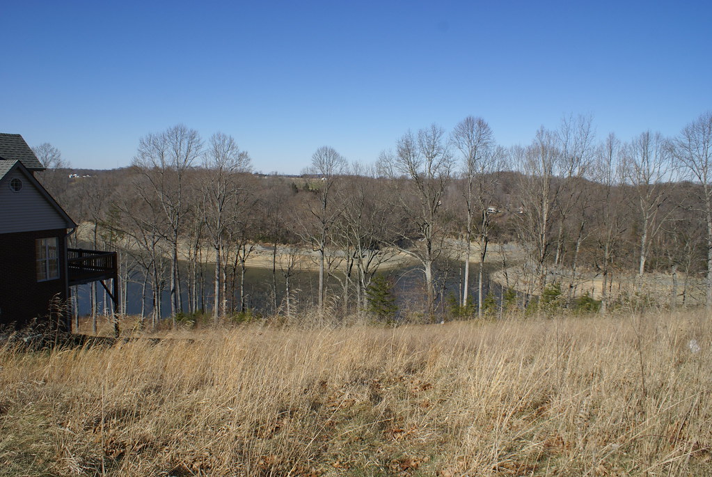 Elevation of Raleigh Rd, Science Hill, KY, USA Topographic Map Altitude Map