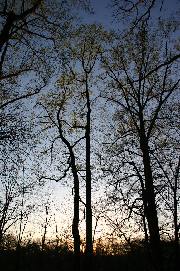 2005411 Fairfax VA Kings Park West neighborhood A … Flickr