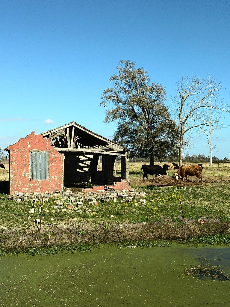 PointeauxChenes, LA Sarah Flickr