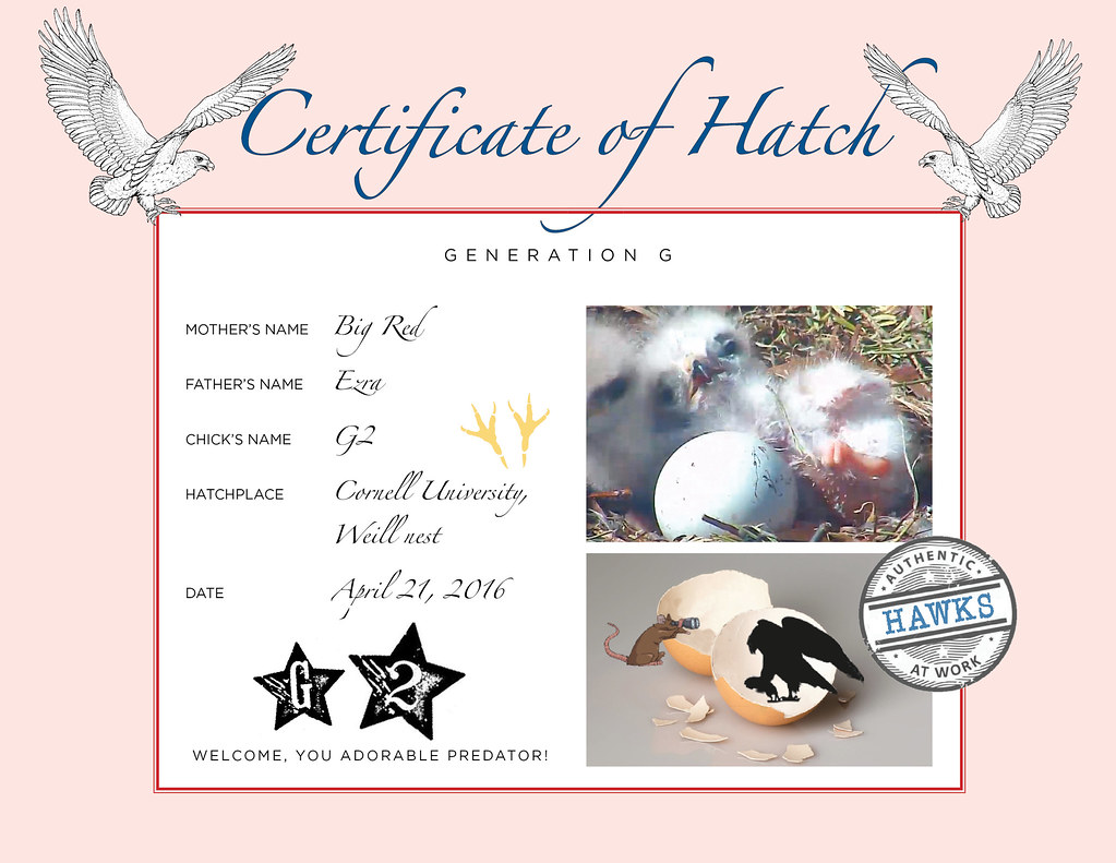 2016 Hatch CertificateG2 GhentArt Flickr