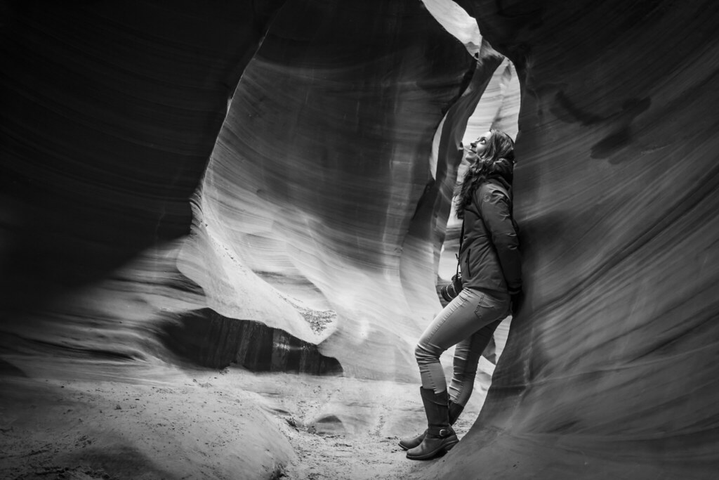 WildWife Yesterday was my wife's birthday, give her a hap… Flickr
