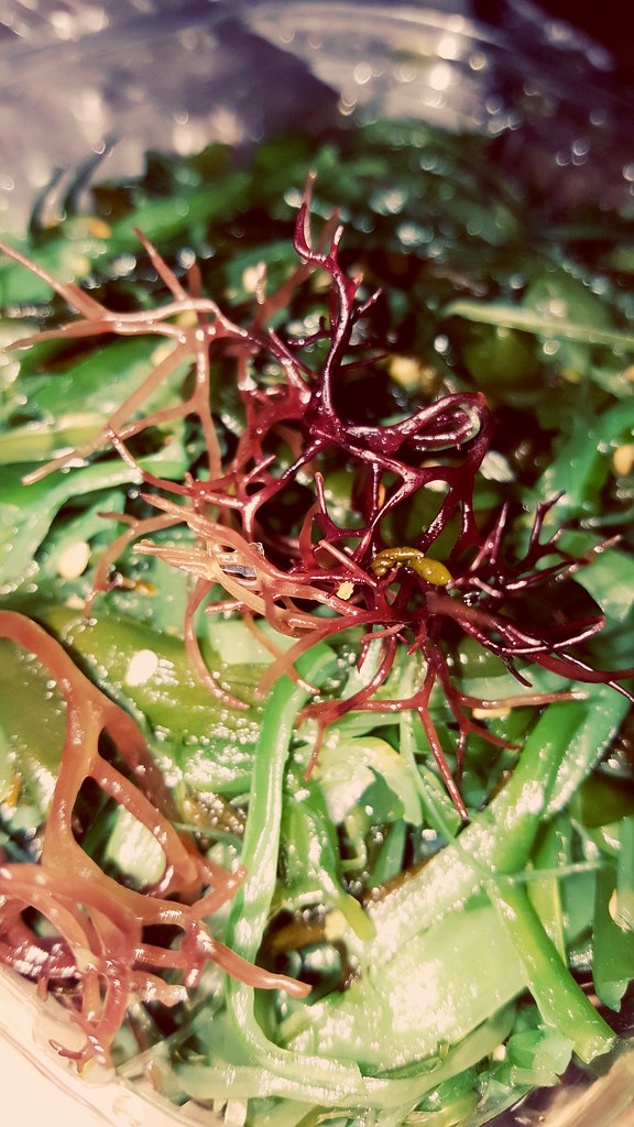 .Seaweed.Salad. seaweed celebrate hmart bulgogi Flickr