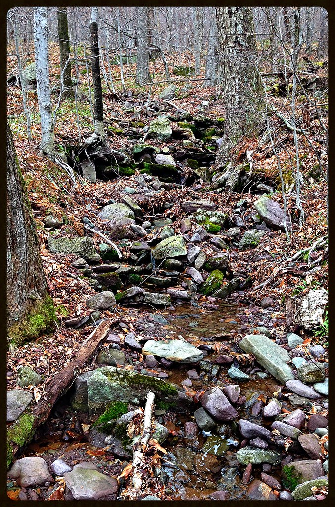 Phoenicia East Branch Trail This stream was marked on th… Flickr