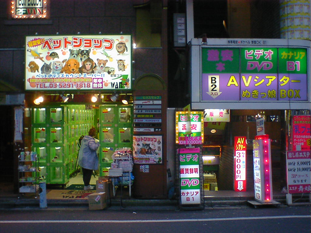 Shinjuku, Tokyo, Japan pet shop The shop is next to an ad… Flickr