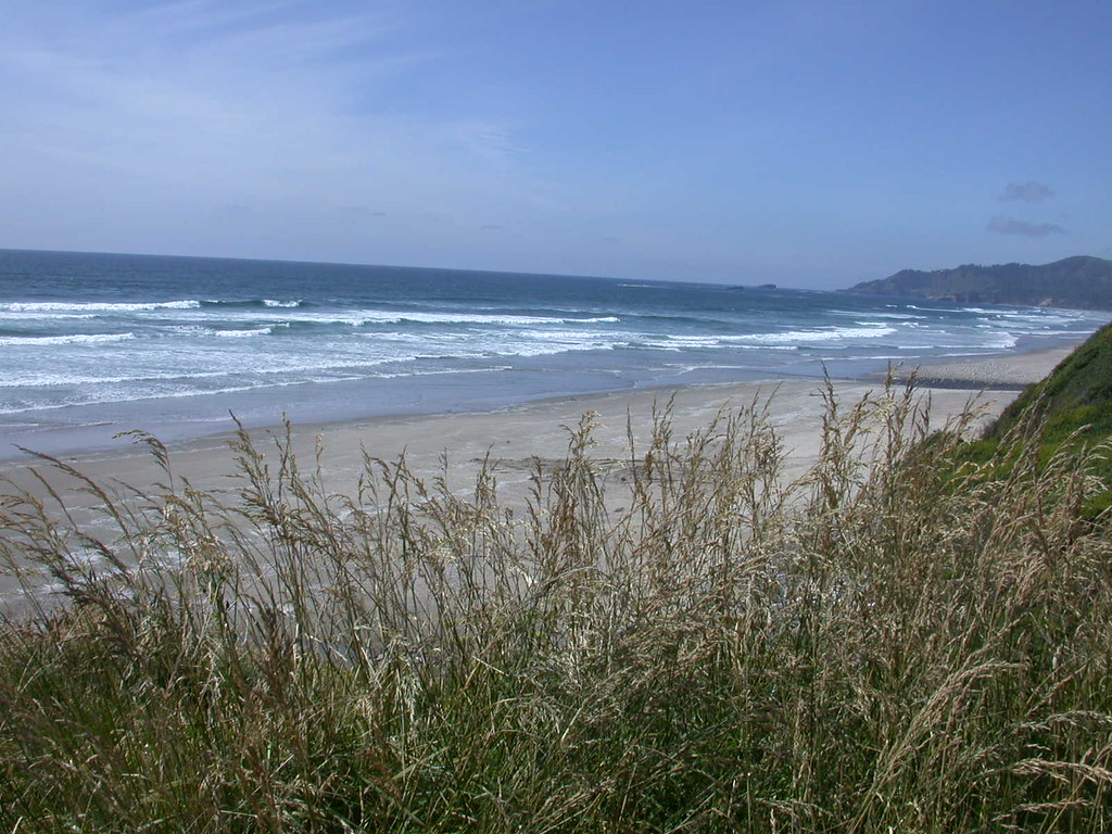 Pacific Shoreline Beach just north of Newport, Oregon. carobe Flickr