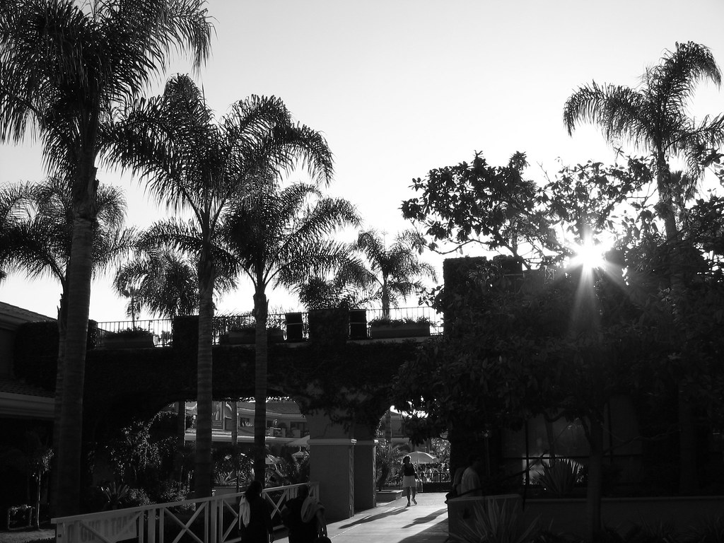 Sun Over Beer Garden rcubed Flickr