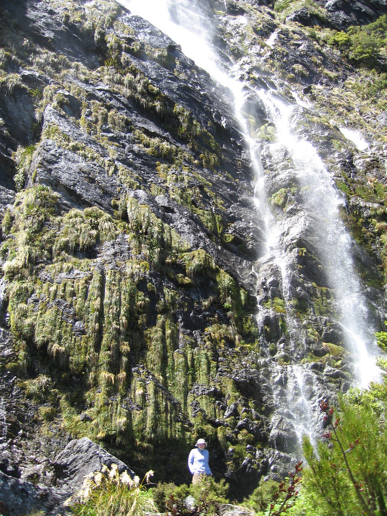 day_thirteen Bonney Pelley Flickr