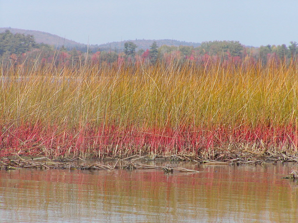 Alamoosook Lake, Maine johnhowardmaine Flickr