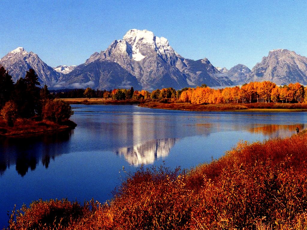 Mt Moran/Oxbow Bend 2 A close view of the Fall colors at t… Flickr