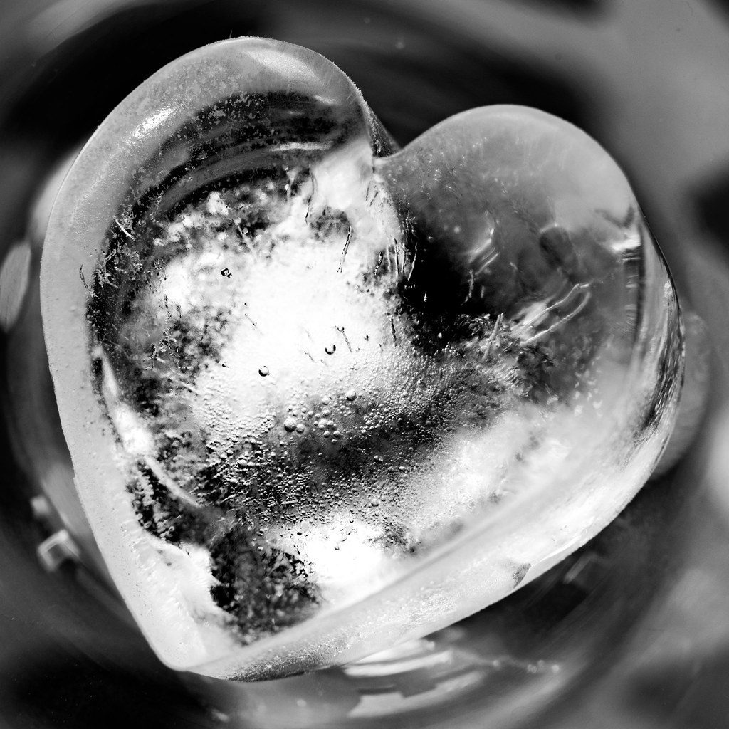 ice cold frozen heart zsazsa cat Flickr