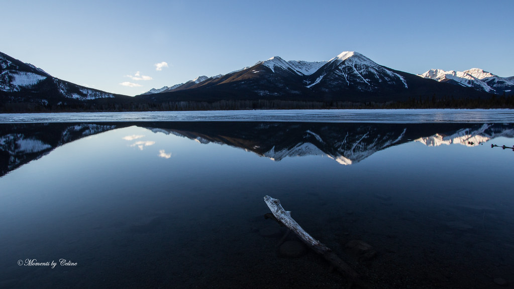Vermillion driftwood Banff National Park, Alberta! Celine Pollard