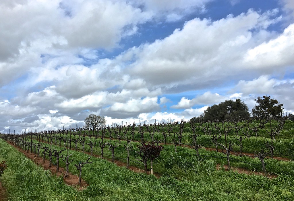 Elevation of Amador County Fairgrounds, Sherwood St, Plymouth, CA, USA