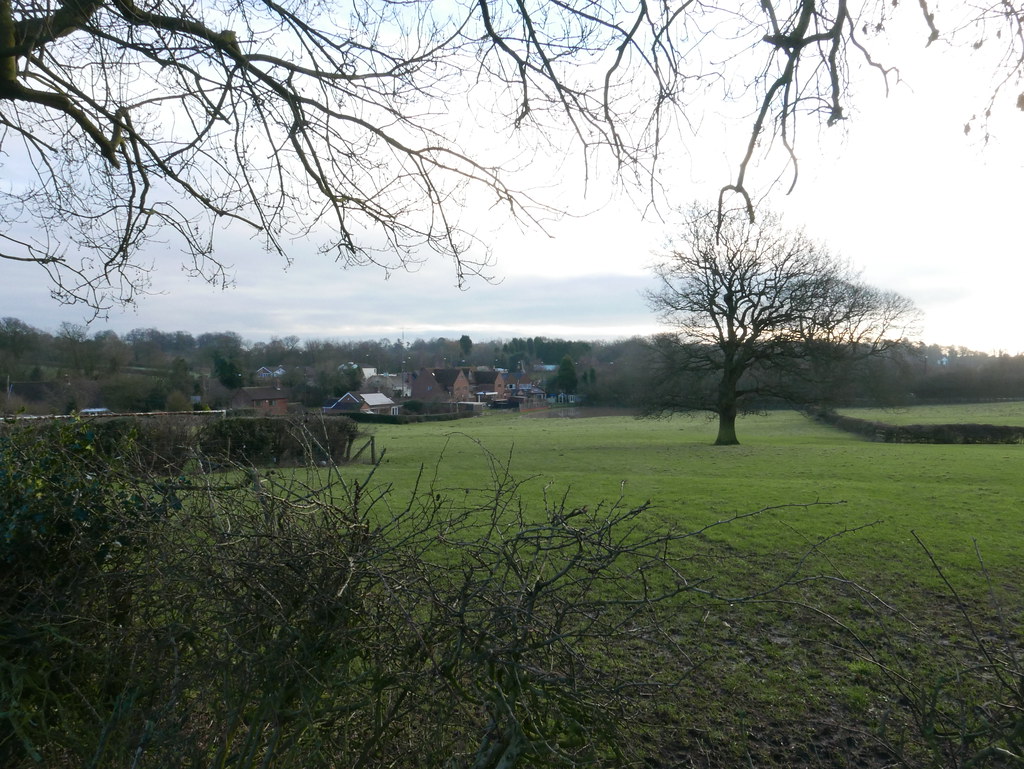 Coundon Wedge, Brownshill Green. 10th Feb 2016. P1280384 Flickr