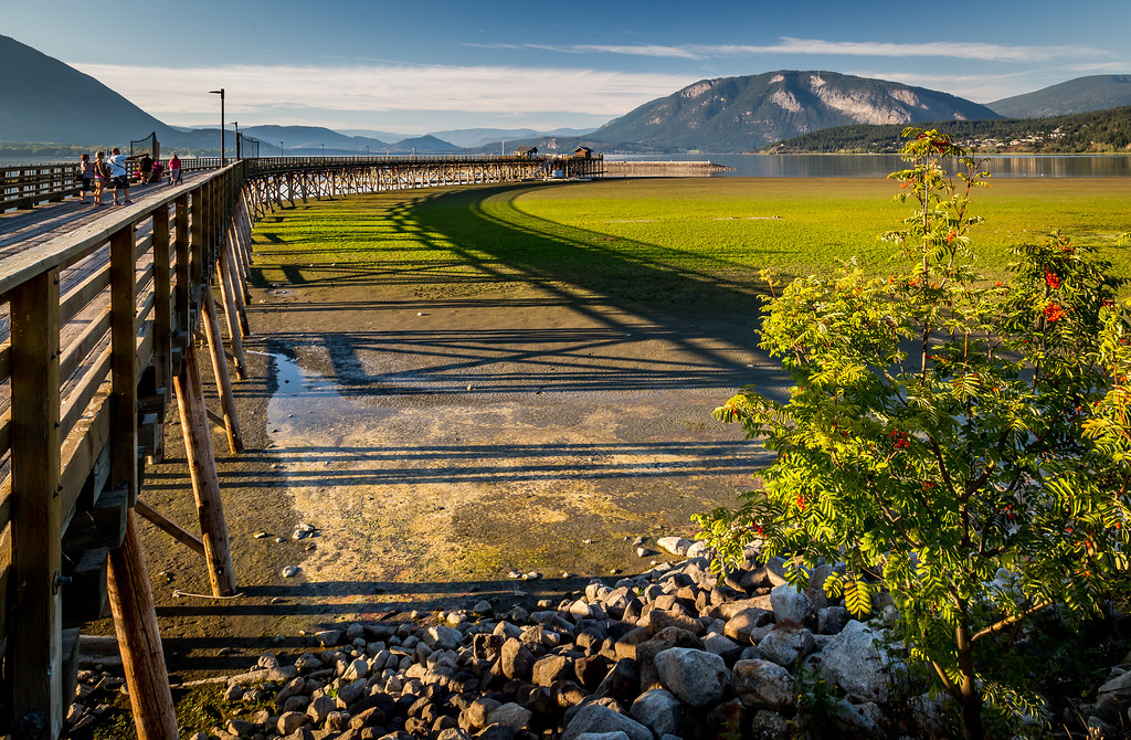 Salmon Arm pier Salmon Arm is a city in British Columbia's… Flickr