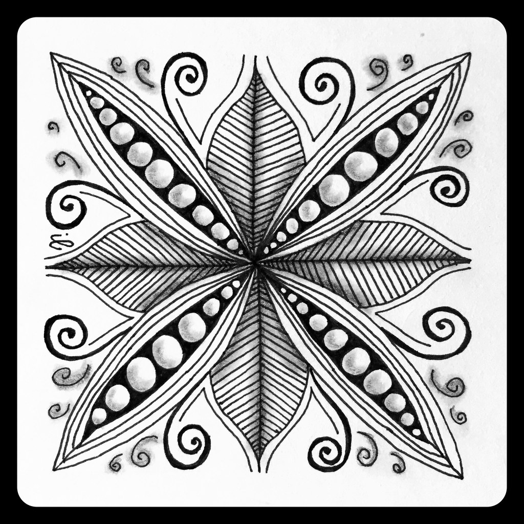 Zentangle Flower Zentangle Ilse Flickr