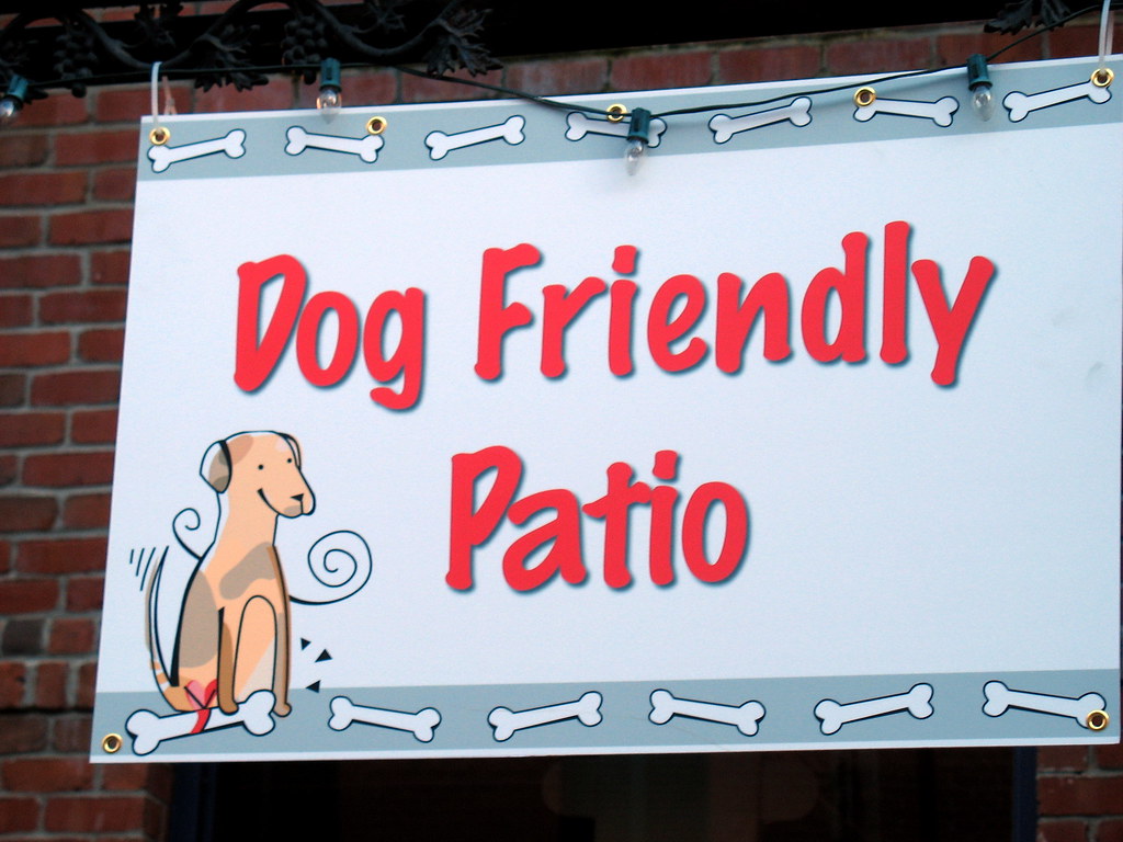 Dog Friendly Patio Flickr