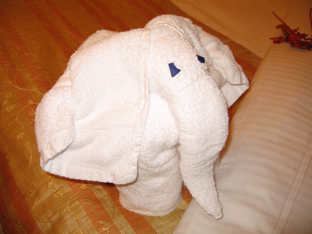 IMG_2248 Elephant Towel Animal desertSol Flickr