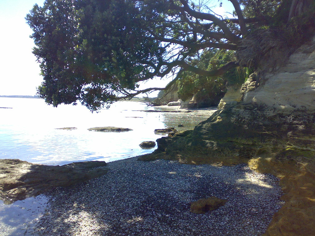 04022007041 Clarks beach, Auckland, New Zealand Ross Flickr